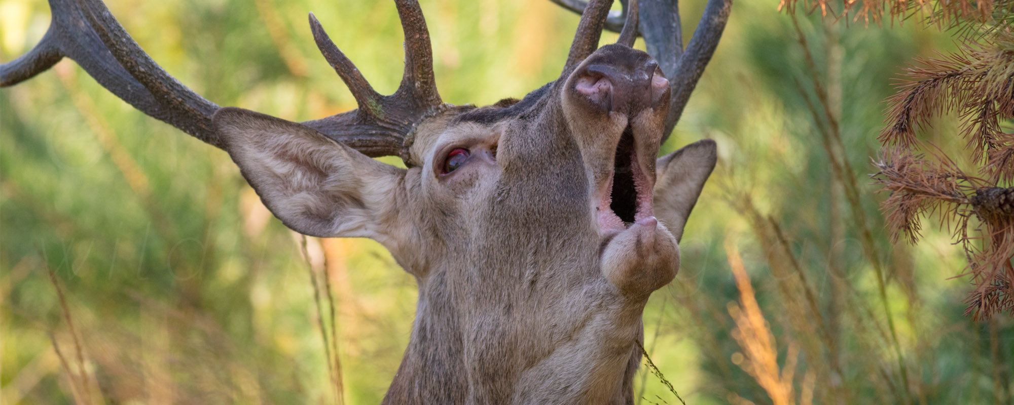 header image 5